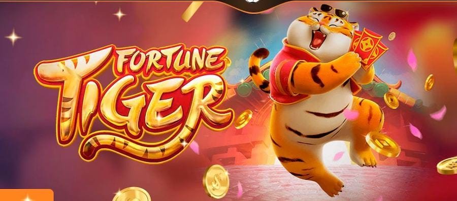5nn bet app